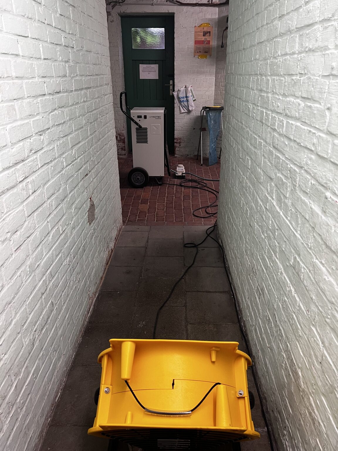 Schimmelsanering van de kelderwanden in Antwerpen