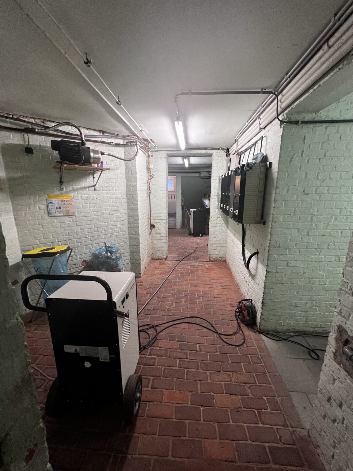 Kelderwand met waterschade en schimmel bij aanvang van de werken in Antwerpen