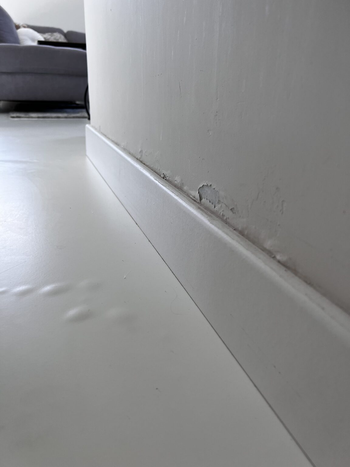 Waterschade zichtbaar op de onderste muurzone in Lokeren